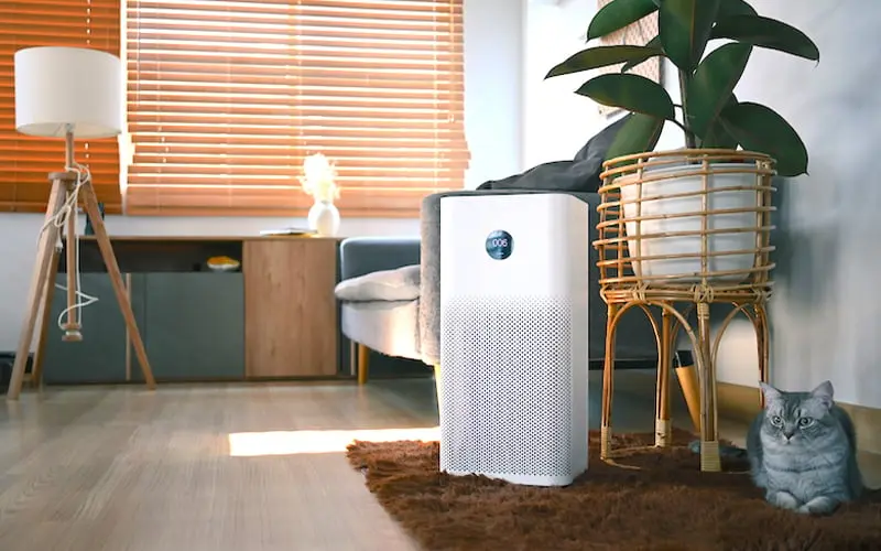 what to look for when buying air purifier