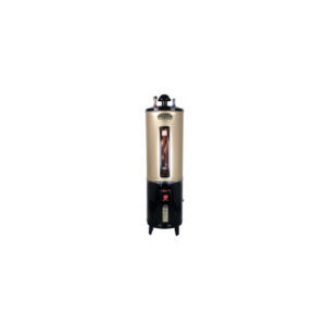 Canon 55 Gallons Supreme Twin E/G Storage Geyser