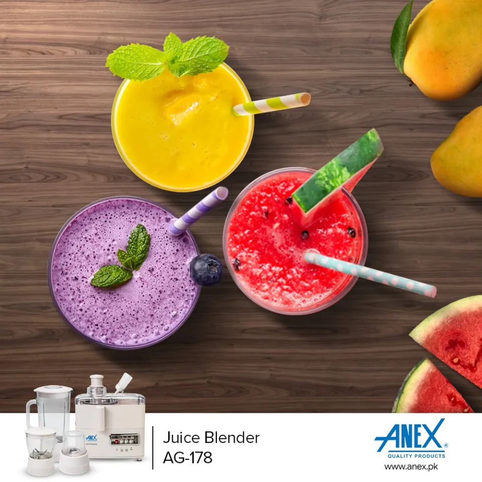 Anex AG-178GL Deluxe Juicer Blender
